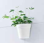 Wall Hanging Flower Pots